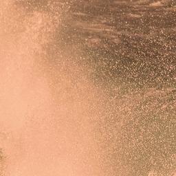 BRONZE FRIDAY, WINTER WELLNESS ❄️